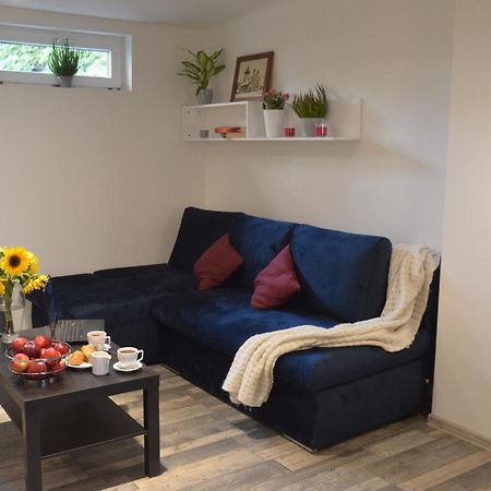 קרקוב Central Wawel Apartments מראה חיצוני תמונה
