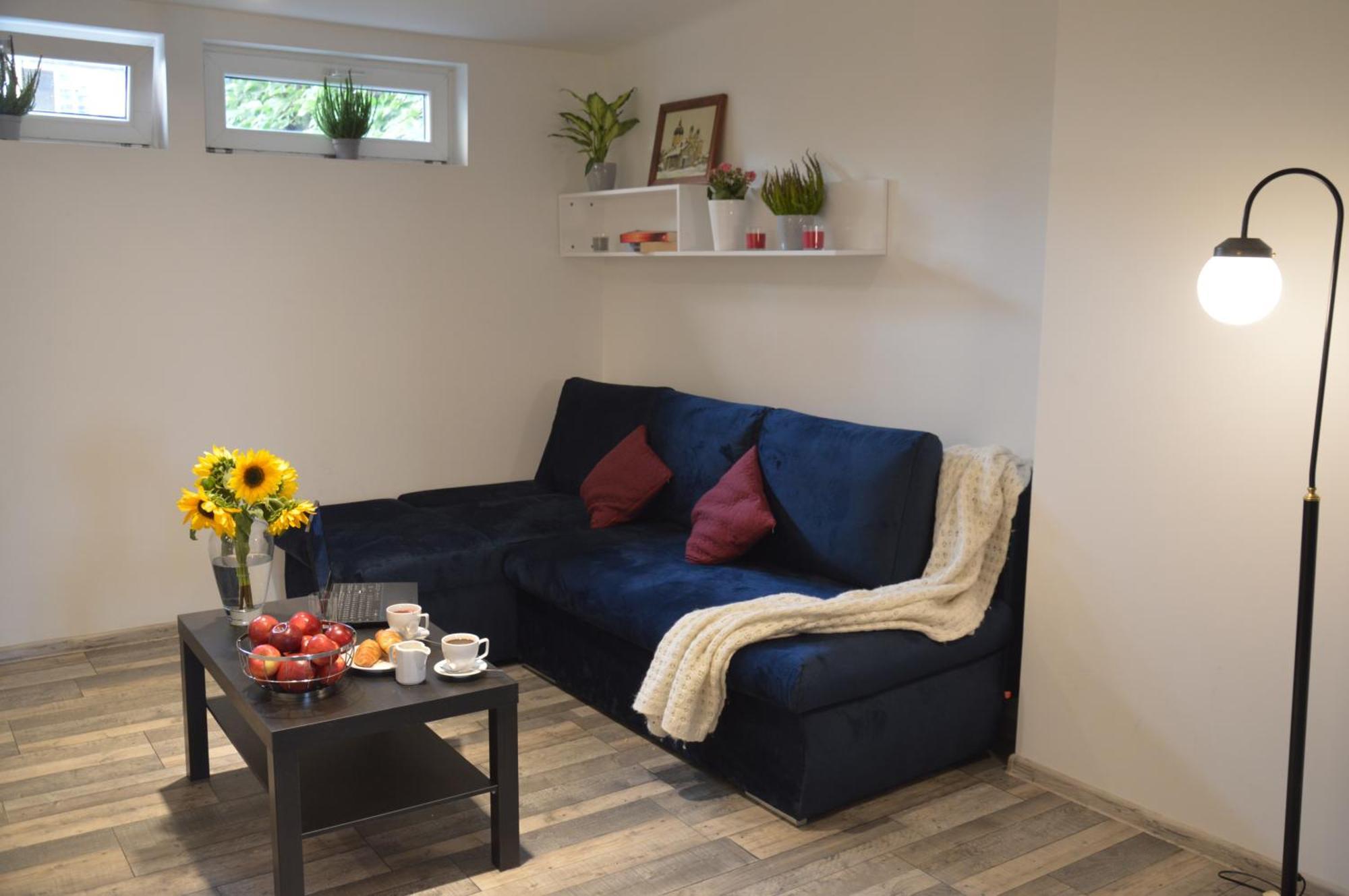 קרקוב Central Wawel Apartments מראה חיצוני תמונה